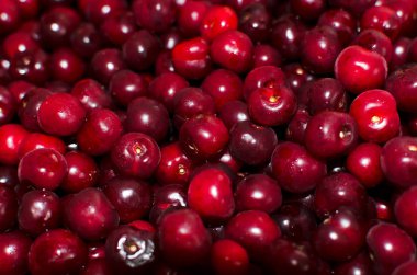 Kiraz meyveleri arka plan, kırmızı duvar kağıdı