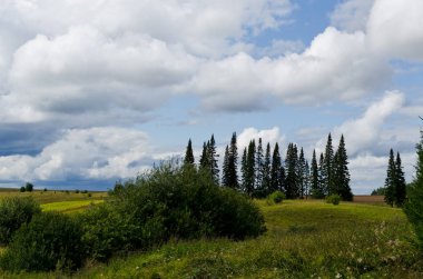 Ağaçlar ve gökyüzü, yaz manzarası