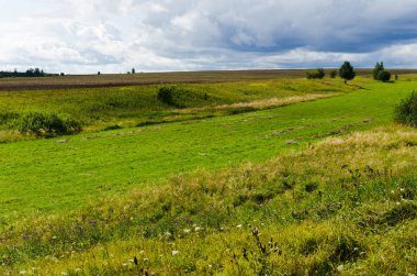 Çayır ve gökyüzü, yaz manzarası