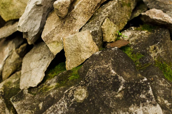 pile of stones background, moss wallpaper