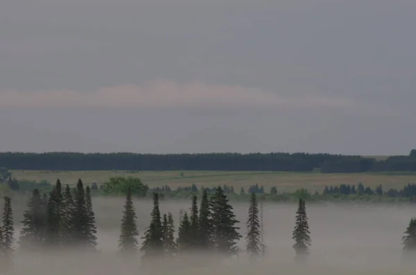 Niebla Matutina Valle Paisaje —  Fotos de Stock