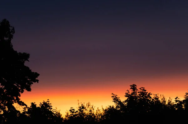 Himmel Bei Sonnenuntergang Und Bäume Sommer — Stockfoto