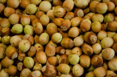 Fındık arka planı, taze fındıklar yakın plan.