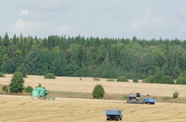 Tarladaki hasatçı temizleyin.