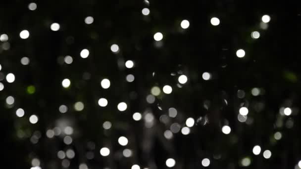 Svart Och Vit Bokeh — Stockvideo