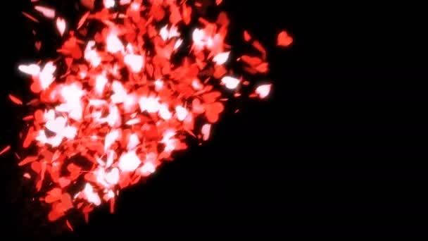 Explosion Confettis Cardiaques Gauche — Video