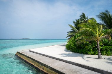 Palmiye ağaçları, beyaz kumları ve mavi gökyüzü ile güzel bir plaj. Maldivler