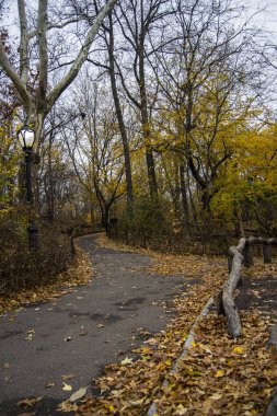 Central Park Sonbahar. Midtown Manhattan New York City