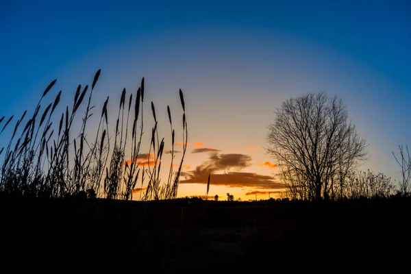 Wunderbarer Sonnenaufgang Auf Dem Land Silhouetten Von Bäumen Vordergrund — Stockfoto