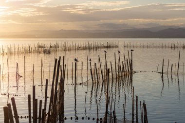 Günbatımı Albufera, Valencia, İspanya'nın doğal park sakin sularda. Sihirli renkler. Mükemmel bir doğal arka plan