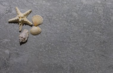 taş fayans banyo aksesuarları. banyo arka plan