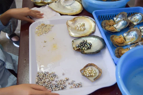 Mulher a trabalhar na extração de pérolas de conchas de ostras. Fábrica vietnamita perto de Ha Long Bay Fotos De Bancos De Imagens