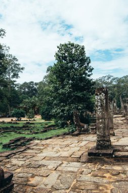 Kamboçya Ankgor thom kalıntıları dışında güzel yeşil orman