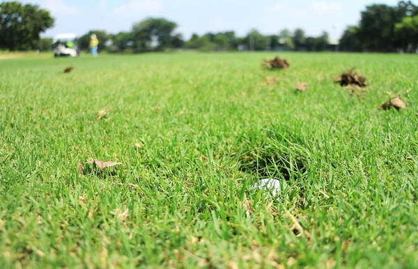 Piłeczki Golfa Zraszacz Głowy Dziura Golf Regule — Zdjęcie stockowe