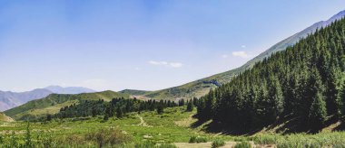 Yaz aylarında bir dağ vadisipanorama, havadan görünümü. Dağ zirveleri, inanılmaz doğa, dağlarda yaz muhteşem bir görünüm. Seyahat, turizm. doğanın güzel arka plan resmi