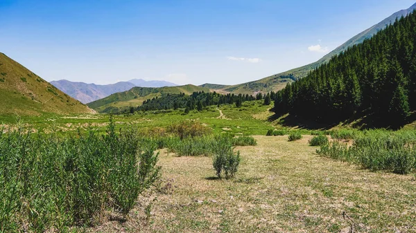 Панорама Гірської Долини Влітку Вид Повітря Казковий Вид Гірські Вершини — стокове фото
