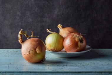sebze natürmort, eski masada olgun soğan ve beyaz yemekler ile kompozisyon, gıda maddeleri, koyu tonalite, yakın çekim