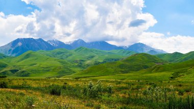 Yaz aylarında bir dağ vadisinin panoraması. Dağ yeşili sırtın muhteşem manzarası ve önündeki tarla, muhteşem doğa, dağlarda yaz. Seyahat ve kamp, turizm