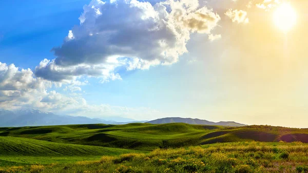 Panorama Van Een Bergvallei Zomer Fantastische Zonsondergang Bergen Geweldige Natuur — Stockfoto