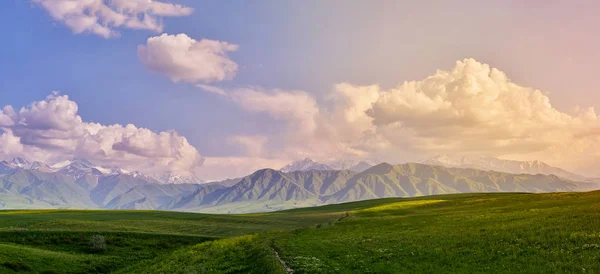 Panorama Une Vallée Montagne Été Coucher Soleil Fabuleux Dans Les — Photo