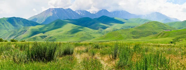 Yaz Aylarında Bir Dağ Vadisinin Panoraması Dağ Yeşili Sırtın Muhteşem — Stok fotoğraf