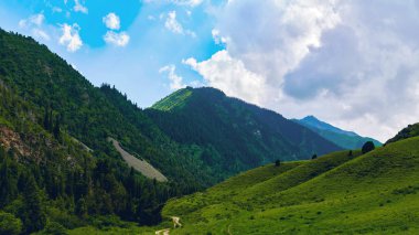 Yaz aylarında bir dağ vadisinin panoraması. Dağ sırasının muhteşem manzarası ve sırtın uzaklığa uzanan yolu, muhteşem doğa, dağlarda yaz. Seyahat ve kamp, turizm