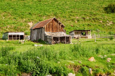 Dağlarla çevrili eski yıkılmış çiftlik evi ve mavi gökyüzüne sahip bir dağ nehri. Tien Shan dağlarında yer almaktadır..
