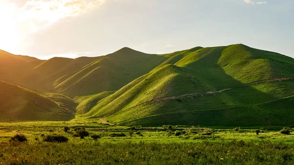 Panorama Valle Montañoso Verano Fabulosa Vista Atardecer Una Montaña Verdes — Foto de Stock