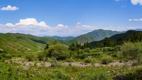 Панорама Горной Долины Летом Удивительная Природа Горы Освещенные Солнцем Ясную — стоковое фото