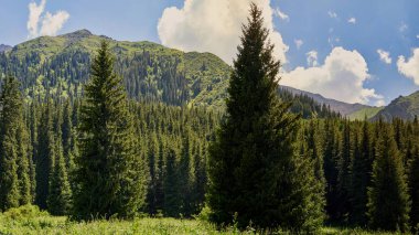 yaz aylarında dağ vadisi. İnanılmaz doğa, dağlar, berrak havalarda güneşle aydınlatılmış, dağlarda yaz. Seyahat, turizm, güzel arka plan, doğanın bir resim