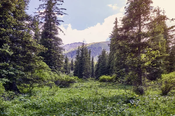 Mountain Valley Summer Amazing Nature Mountains Lit Sun Clear Weather — Stock Photo, Image