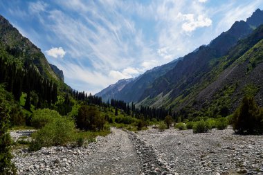 yaz dağ vadisi nin fotoğrafı. Muhteşem gün doğumu, muhteşem doğa, bahar, dağlarda yaz. Zam, turizm