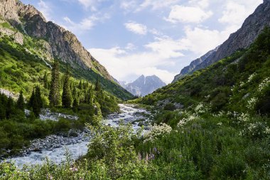 yaz dağ vadisi nin fotoğrafı. Muhteşem gün doğumu, muhteşem doğa, bahar, dağlarda yaz. Zam, turizm