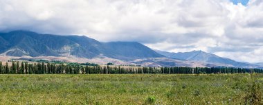 Yaz aylarında bir dağ vadisinin panoraması. Dağ zirveleri, inanılmaz doğa, dağlarda yaz muhteşem bir görünüm. Seyahat, turizm. doğanın güzel arka plan resmi