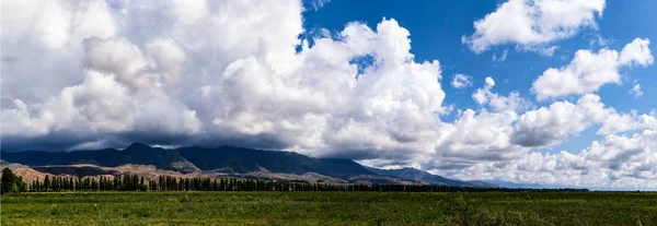 Yaz Aylarında Bir Dağ Vadisinin Panoraması Dağ Zirveleri Inanılmaz Doğa — Stok fotoğraf