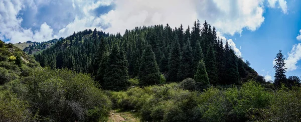 Панорама Гірської Долини Влітку Казковий Вид Гірські Вершини Дивовижна Природа — стокове фото