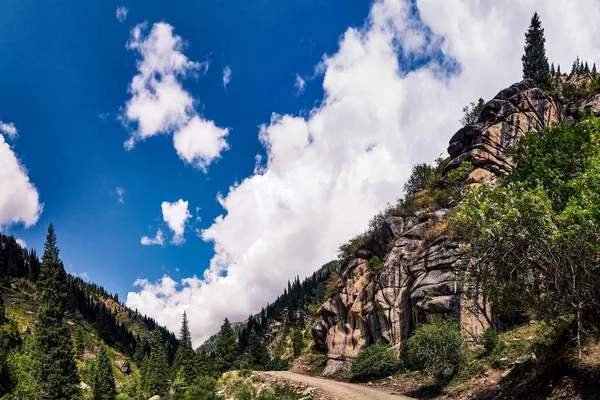 Гірська Долина Влітку Казковий Вид Гірські Вершини Дивовижна Природа Гірська — стокове фото