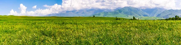 Панорама Горной Долины Летом Вид Воздуха Сказочный Закат Над Горными — стоковое фото