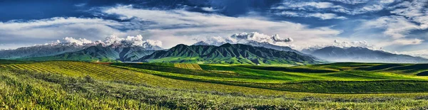 Yazın Bir Dağ Vadisi Manzarası Hava Manzarası Dağ Tepelerinin Üzerinde — Stok fotoğraf