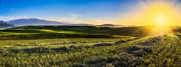 Yazın Bir Dağ Vadisi Manzarası Hava Manzarası Dağ Tepelerinin Üzerinde — Stok fotoğraf