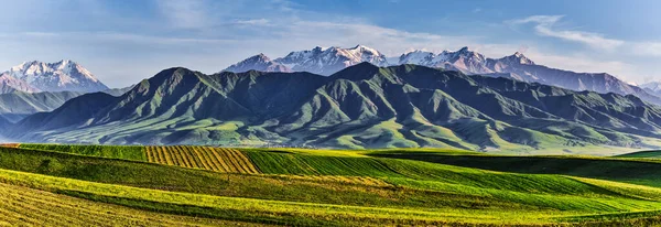 Панорама Горной Долины Летом Вид Воздуха Сказочный Закат Над Горными — стоковое фото