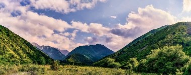 Yazın bir dağ vadisi manzarası. Muhteşem bir dağ manzarası, inanılmaz doğa, dağlarda yaz mevsimi. Seyahat, turizm. Doğanın güzel arkaplan resmi