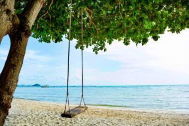 Ahşap Swin Seaside Beach adlı ağacın altında asılı