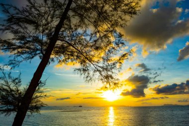 Ada plaj sahil ile alacakaranlık gökyüzü bulut üzerinde okyanus arka planda, yaslanmış demir-ahşap ağaç siluet