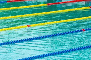 Şeritli satırlar rekabet-yüzme havuzunda yüzen 