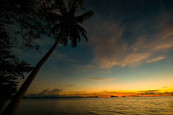 Silhouette Leaning Coconut Palm Tree Island Beach Seaside Twilight Sky — Photo