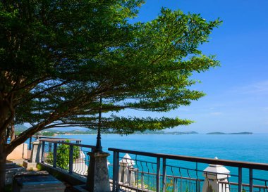 Deniz-bakış güneşli gün, açık mavi gökyüzü bulut arka planda yeşil ağaç gölgesinde bırakır