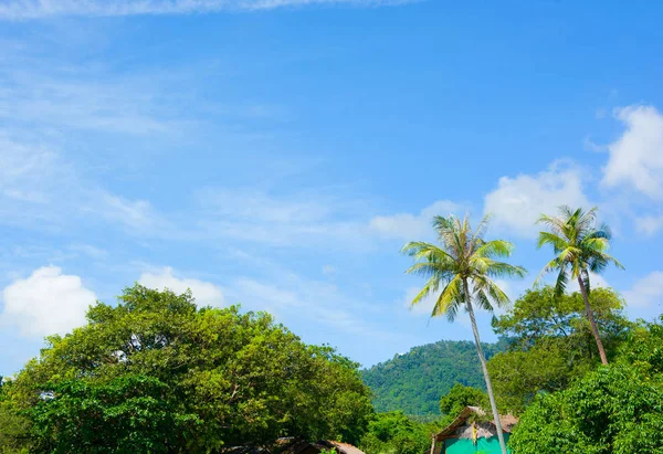 Mavi gökyüzü bulut arka plan ön plan Hindistan cevizi palmiye ağaçları kulübe, dağ ve güzel bir güneşli gün yukarıda temizleyin
