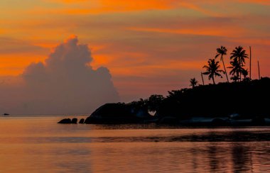 Siluet Adası Cape yayla, harika dramatik alacakaranlık akşam Hindistan cevizi hurma ağaçları ile gökyüzü bulut, su üzerinde yansıtan renkli turuncu ışık