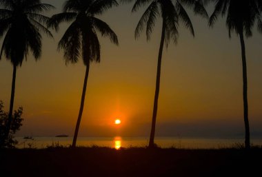 Arka Planda Deniz Üzerinde Sunset Gökyüzü ile Siluet Hindistan Cevizi Ağaçları